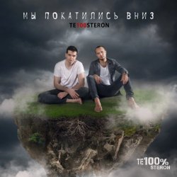 Обложка Те100стерон - Мы покатились вниз