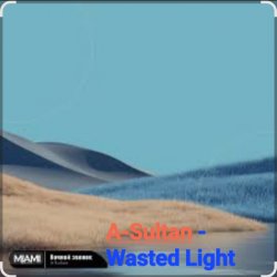 Обложка A-Sultan - Wasted Light