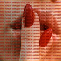 Обложка 5sta Family - Антидот