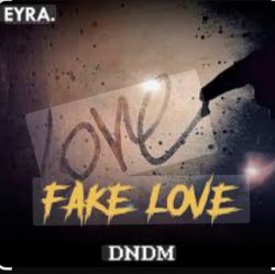 Обложка DNDM - Fake Love