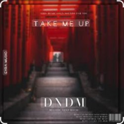 Обложка DNDM - Take Me High
