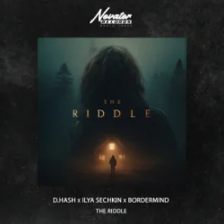 Обложка D.HASH & ILYA SECHKIN & BORDERMIND - The Riddle