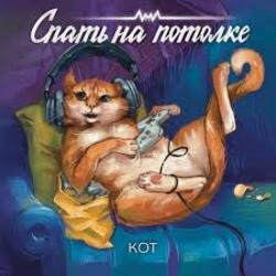 Обложка Спать на потолке - Кот