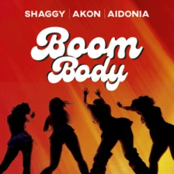 Обложка Shaggy & Akon & Aidonia - Boom Body
