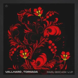 Обложка Vallhard & Tornada - Paru Bochok V.I.P