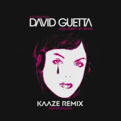 Обложка David Guetta & Chris Willis - Love Don't Let Me Go (KAAZE Remix)