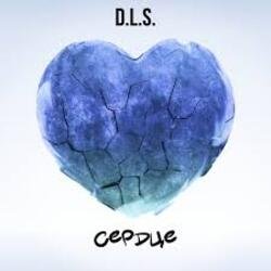 Обложка D.L.S. - Сердце