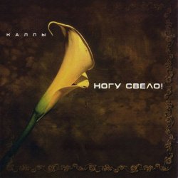 Обложка Ногу свело! - Ave Maria