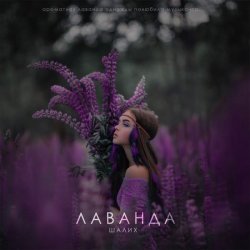 Обложка Шалих - Лаванда