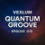 封面 Vexlum - Quantum Groove 010