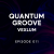Cover Vexlum - Quantum Groove 011