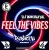 封面 DJ Brownie - Feel The Vibes (Bosketta Remix)