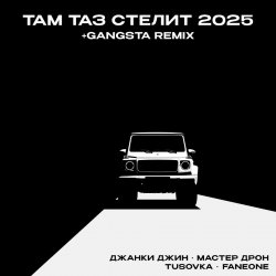 Обложка Джанки Джин, Мастер Дрон, TUSOVKA, FanEOne - Там таз стелит