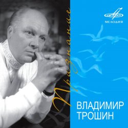 Обложка Владимир Трошин - Новогодняя песня