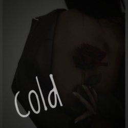 Обложка Dos Ton - Cold
