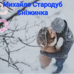 Обложка Михайло Стародуб - Сніжинка