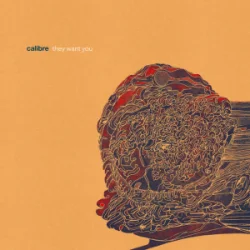 Обложка Calibre - dim light