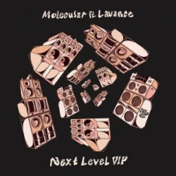 Обложка Molecular & Lavance - Next Level (VIP)
