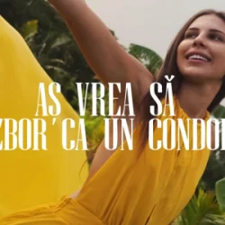 封面 Anda Călugăreanu - Aș vrea să zbor ca un condor (Mentol & Daniel Pavel Remix)