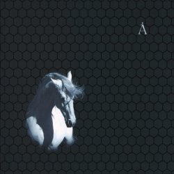 Обложка Аквариум - Сокол