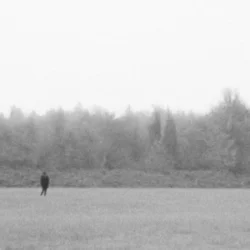 Обложка EKKSTACY - i walk this earth all by myself