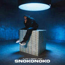 Обложка Al Xapo & Benzoo & EeQue - SNOKONOKO