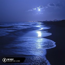 Обложка Alosa, Booty Leak, Elle Blue - One Night
