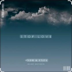 Обложка DNDM feat. ENZA - Stop Love