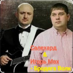 Обложка группа Салехард & Игорь Мах - Бродяга волк