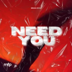 Обложка Brian Zeno - Need You