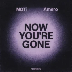 Обложка MOTi & Amero - Now You're Gone