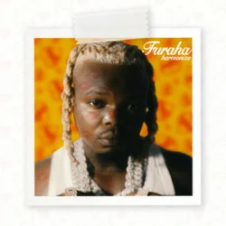 Обложка Harmonize - Furaha