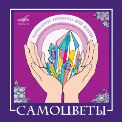 Обложка ВИА САМОЦВЕТЫ - По морозу, по зиме