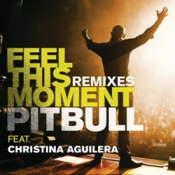 Обложка Pitbull & Christina Aguilera - Feel This Moment (Riddler & Reid Stefan Club Mix)