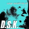 DSK - What Would We Do (Original Mix)