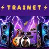 Trasnet - De dorul tau