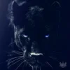 Adam Jamar - Black Panther