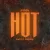 封面 Inna - Hot (RIOTZ Remix)