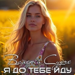 Обложка Валерій Судче - Я до тебе йду
