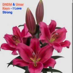 Обложка DNDM & Umar Keyn - I Love Strong
