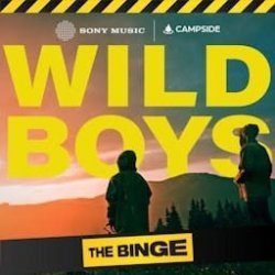 Обложка The Wild Boys - The Drunken Sailor