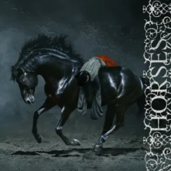 Обложка Winona Oak - Horses
