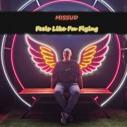 Обложка Missud - What Are You Waiting For