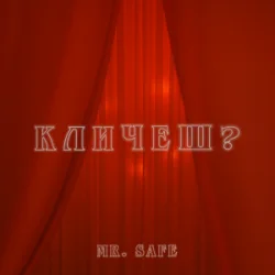 Обложка Mr. Safe - Кличеш?