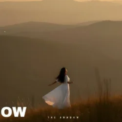 Обложка The Shadow - The lesson of love