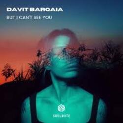 Обложка Davit Barqaia - But I Can t See You