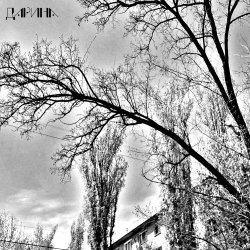 Cover TheNobleMan - много дел