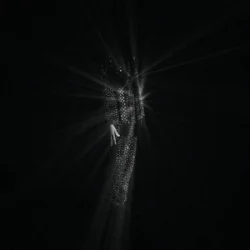 Обложка bbno$ - diamonds are forever