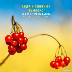 Обложка Бумбокс - Ой У Лузі Червона Калина