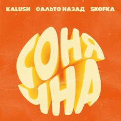 Обложка KALUSH, Сальто Назад, Skofka - Сонячна